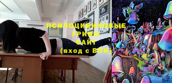 ешки Алзамай