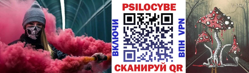 Галлюциногенные грибы Psilocybine cubensis  как найти закладки  Омск 