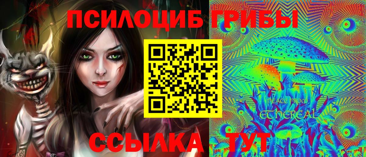 Псилоцибиновые грибы Psilocybine cubensis  Вход с VPN  Омск 